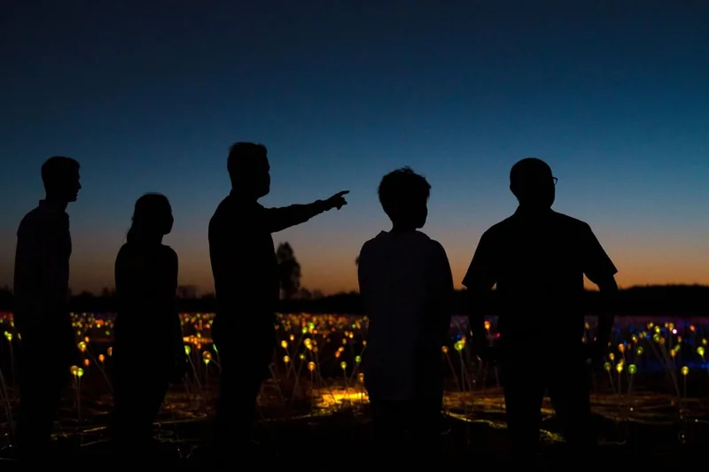 Uluru Field of Light Sunrise Tour